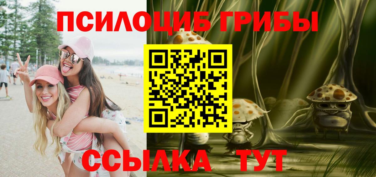 Псилоцибиновые грибы MAGIC MUSHROOMS  Вход с VPN  Галлюциногенные грибы Magic Shrooms  Богданович 